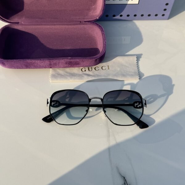 Branded Sunglasses 2496_silver_green(With Original Kit)