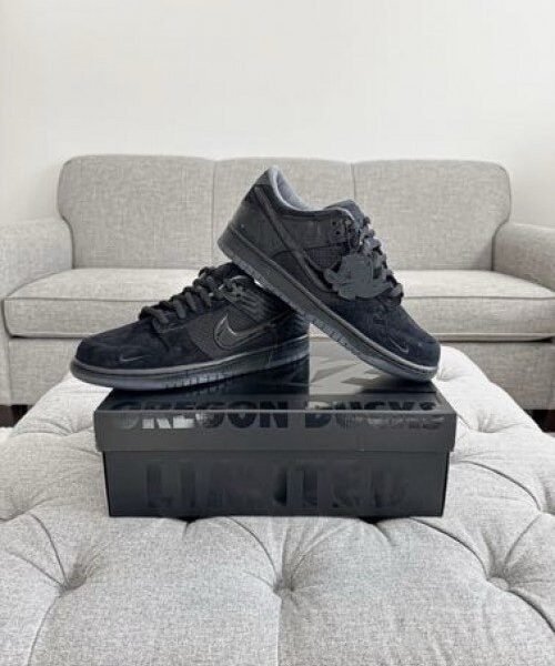 dunk low ducks of the feather university of oregon